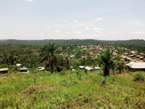 Ituri : une ONG-DH lance un SOS face à la montée en puissance des rebelles ADF dans les territoires d’Irumu et Mambasa