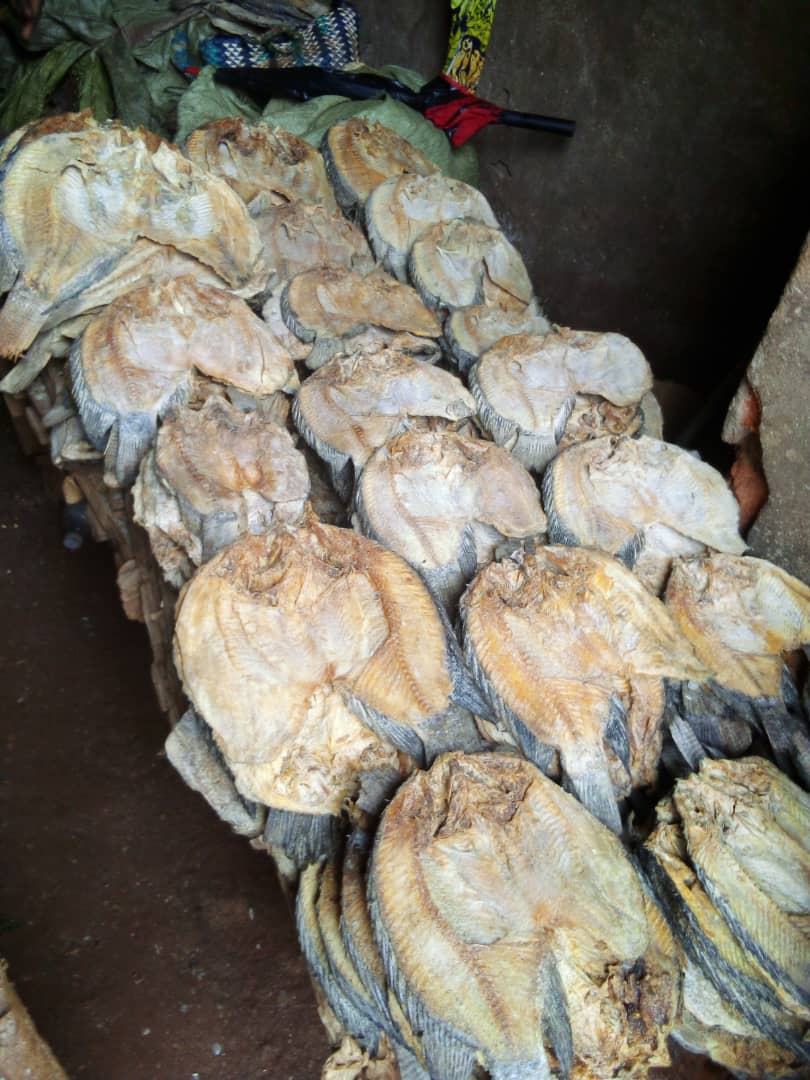 Beni : les revendeurs de poissons salés appelés à s’approvisionner à Kasindi