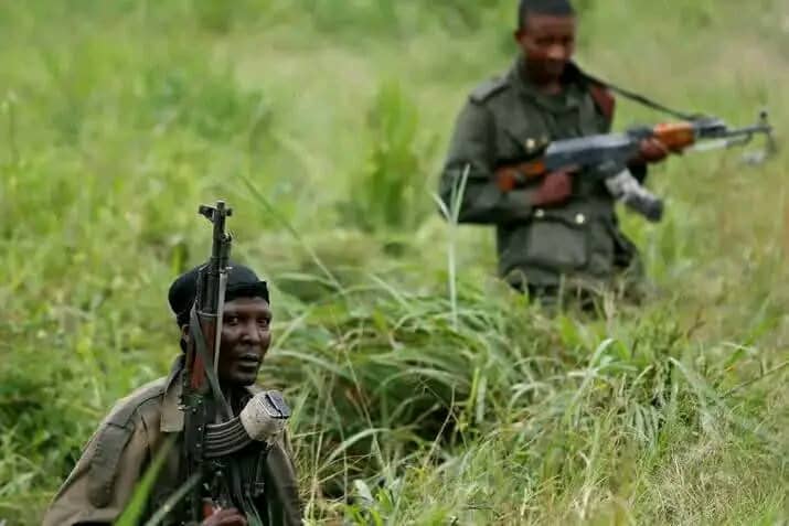 Nord-Kivu : les Wazalendo prennent d’assaut une position des RDF-M23 à Rutshuru