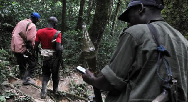 adf-en-foret-en-ituri Accueil