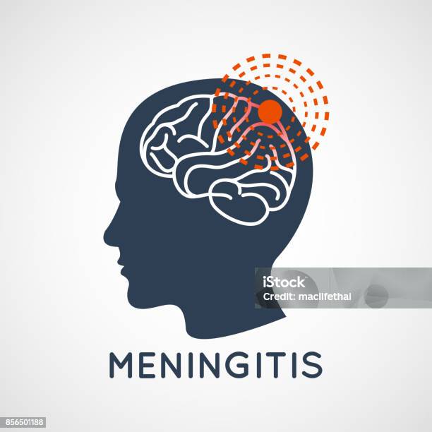 WhatsApp-Image-2026-04-24-at-19.01.55 Accueil