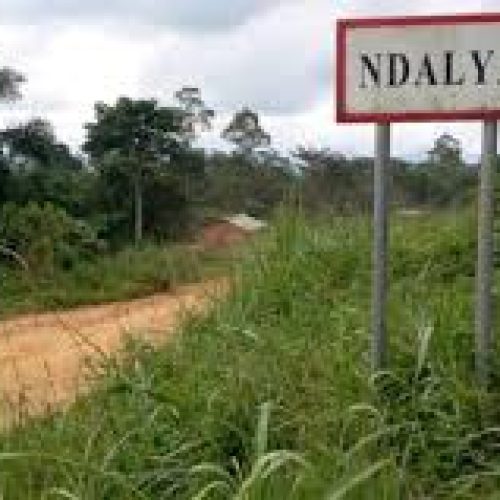 Ituri : en captivité depuis environ six mois, plus de 90 civils s’échappent des mains des ADF à Ndalya 