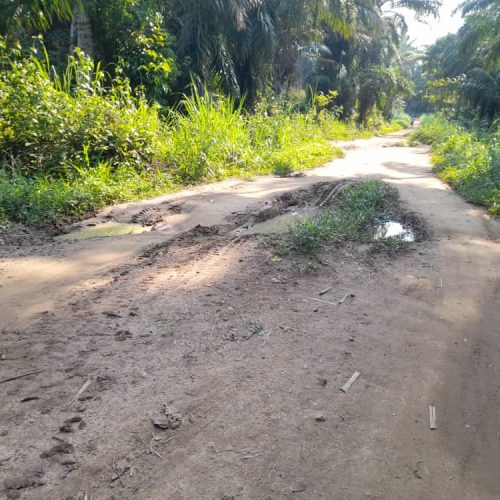 Délabrement des routes de desserte agricole à Beni et Lubero : la société civile exige un contrôle rigoureux des fonds d’entretien