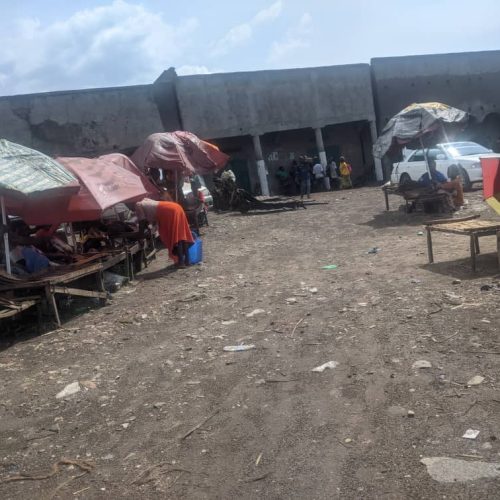 Beni–Délocalisation du marché des poissons salés à Kasindi : plusieurs dépôts fermés, de nombreux jeunes manutentionnaires poussés au chômage