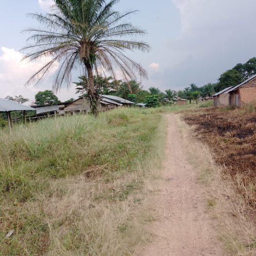 Beni : La société civile de Beni-Mbau appelle à la vigilance face aux attaques de l’ADF à l’Ouest d’Otomabere