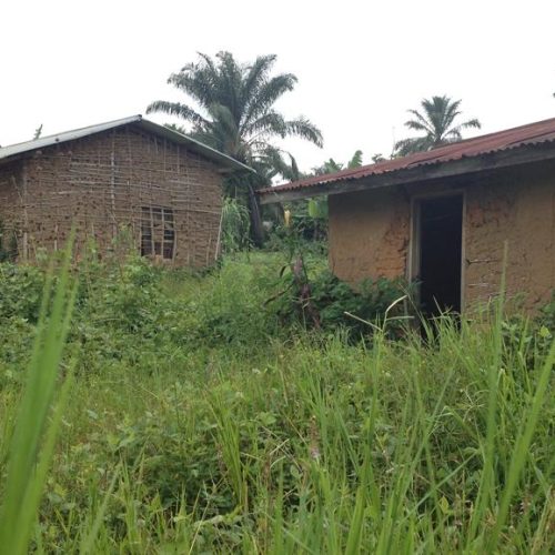 Mambasa: plus de 20 corps gisent au sol dans la localité de LYANGA