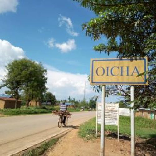 Beni : les services de sécurité réactivés pour la traque d’environs 60 suspects voleurs identifiés à Oicha