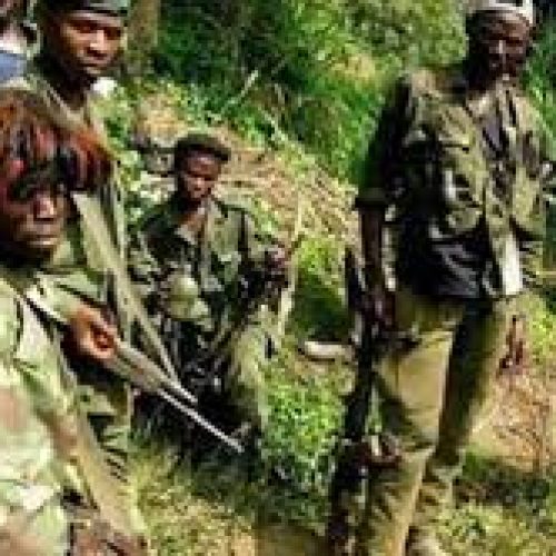 Ituri : des campements des rebelles ADF en cours de construction dans les villages de MASANGALO, MAPIPA et BELU